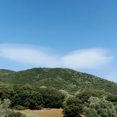 Apartamento T3 En Rez De Sur Les Hauteurs D'ajaccio Ajaccio (Corsica)