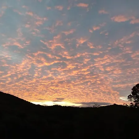 Apartamento T3 En Rez De Sur Les Hauteurs D'ajaccio