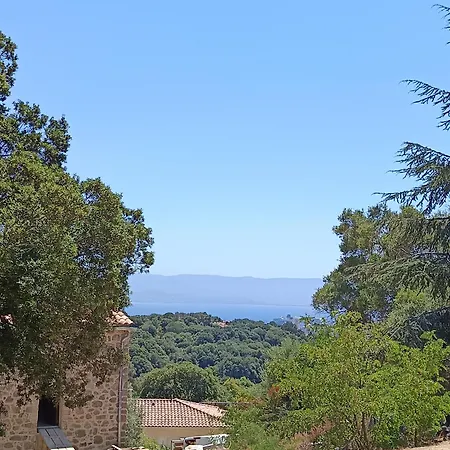 T3 En Rez De Sur Les Hauteurs D'ajaccio * Ajaccio (Corsica)
