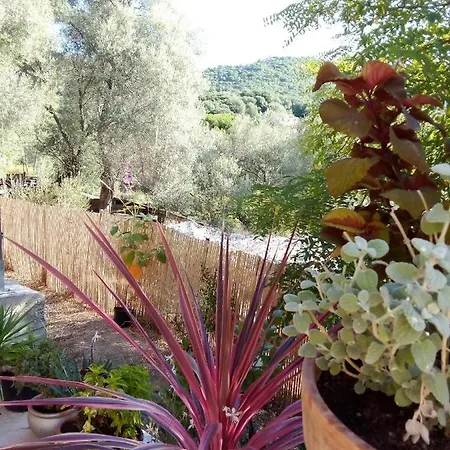 Appartement T3 En Rez De Sur Les Hauteurs D'ajaccio *