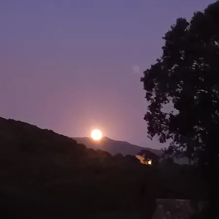 T3 En Rez De Sur Les Hauteurs D'ajaccio Apartment