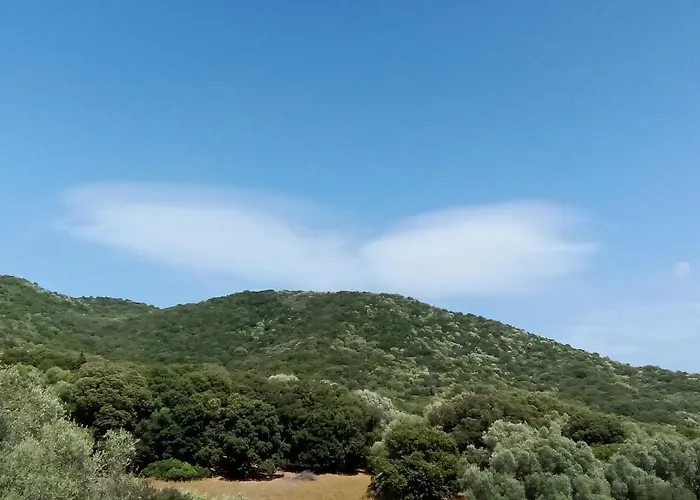 Apartment T3 En Rez De Sur Les Hauteurs D'ajaccio Ajaccio (Corsica)