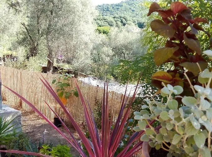 Apartment T3 En Rez De Sur Les Hauteurs D'ajaccio *