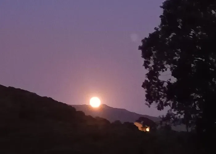 T3 En Rez De Sur Les Hauteurs D'ajaccio Apartment